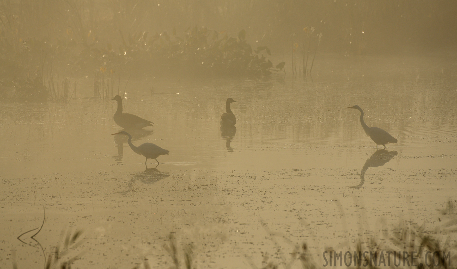 [400 mm, 1/3200 Sek. bei f / 8.0, ISO 500]